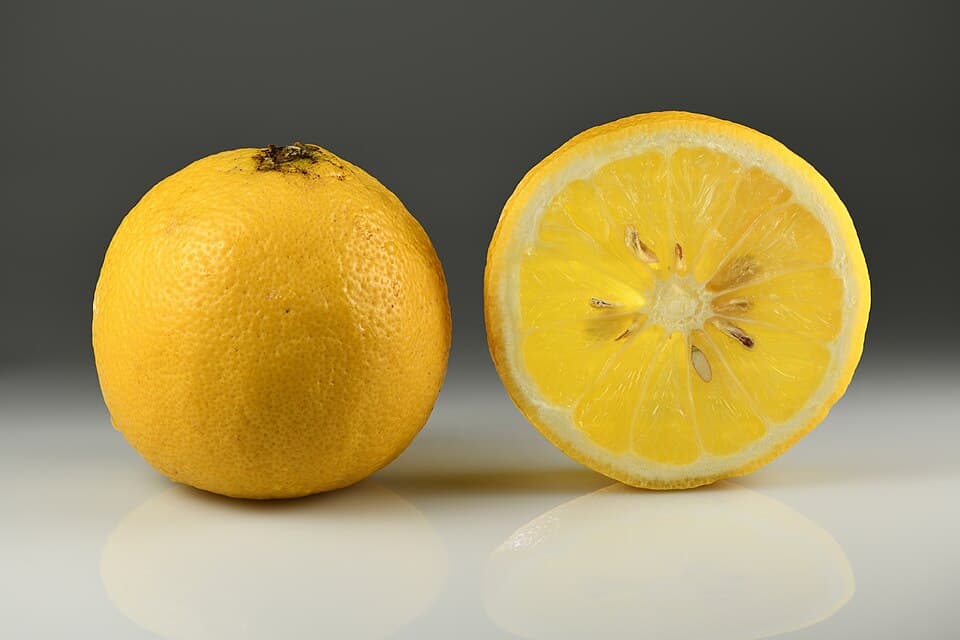 Tinh dầu bergamot — ép lạnh